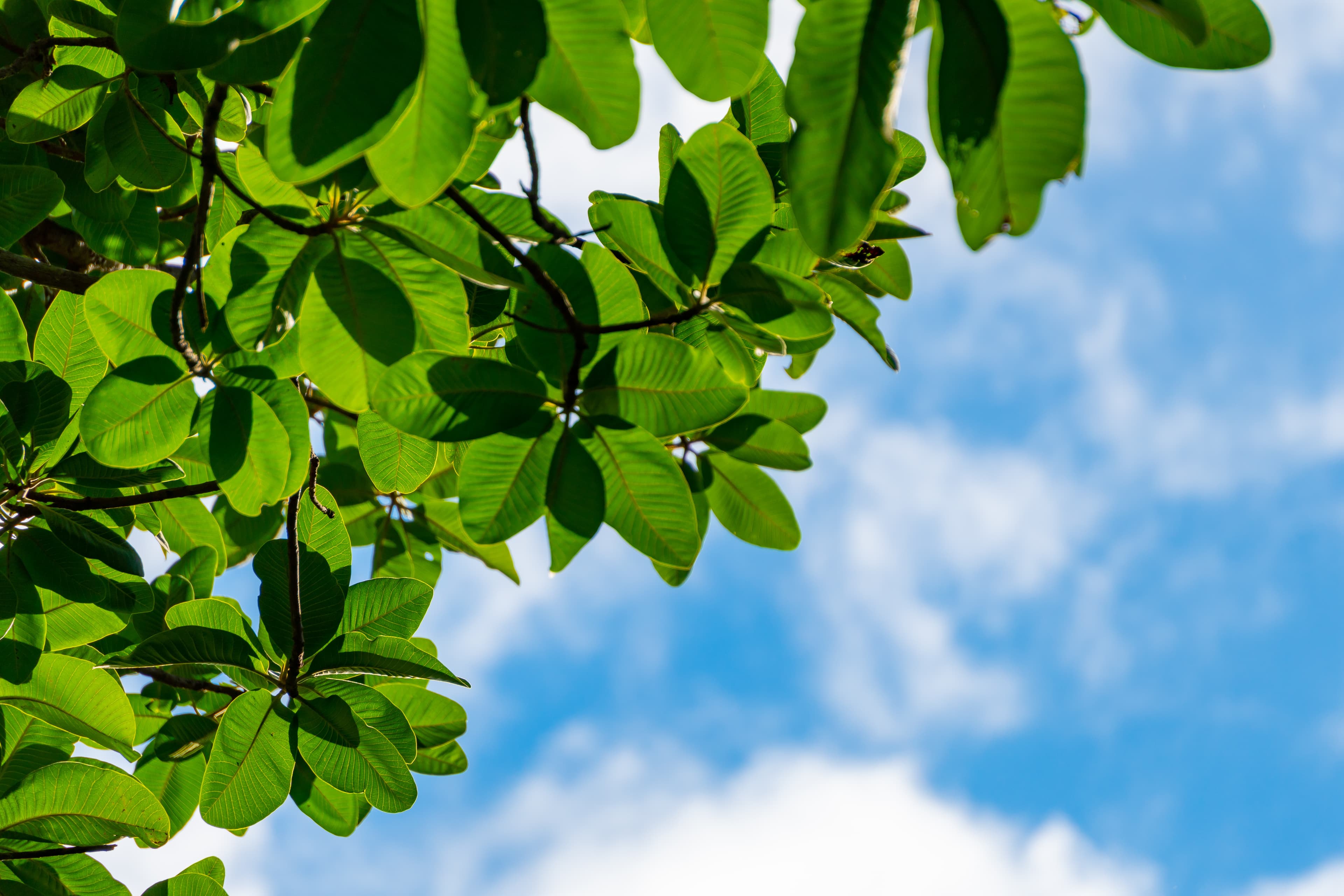 AdobeStock 442679736